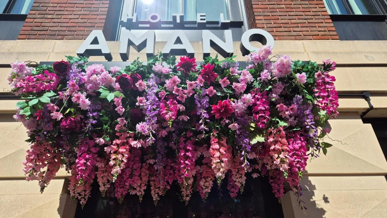 Hanging flower basket outside the hotel entrance on Russell Street
